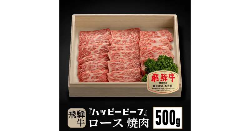 【ふるさと納税】飛騨牛 A5等級 ロース 500g 焼肉 飛騨牛 ブランド牛 A5ランク ハッピープラス 飛騨高山 TR4089