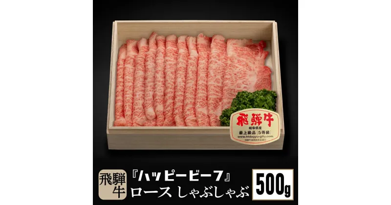 【ふるさと納税】飛騨牛 A5等級 ロース 500g しゃぶしゃぶ 飛騨牛 ブランド牛 A5ランク ハッピープラス 飛騨高山 TR4091