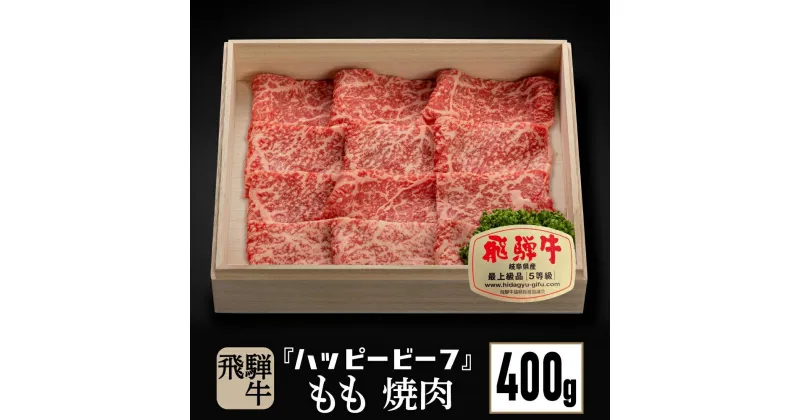 【ふるさと納税】飛騨牛 A5等級 【赤身】 もも肉 焼肉 400g 飛騨牛 ブランド牛 A5ランク ハッピープラス 飛騨高山 TR4093