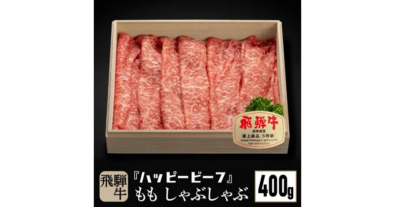 【ふるさと納税】飛騨牛 A5等級 【赤身】 もも肉 しゃぶしゃぶ 400g 飛騨牛 ブランド牛 A5ランク ハッピープラス 飛騨高山 TR4094