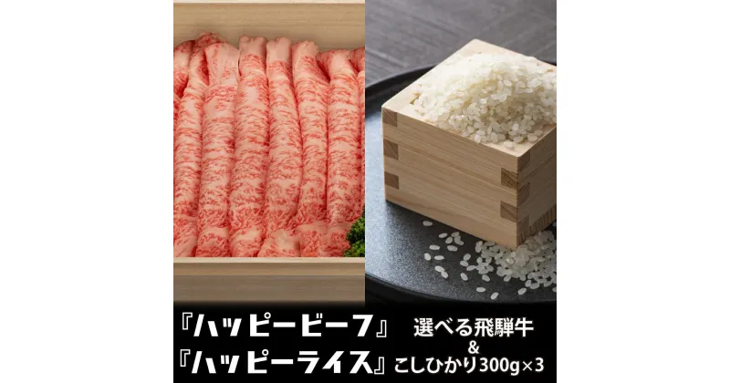 【ふるさと納税】米 （300g×3） と 飛騨牛 (300-500g) こしひかり コシヒカリ A4等級 A5等級 ブランド牛 内祝い のし 熨斗 ハッピープラス 飛騨高山 TR4102