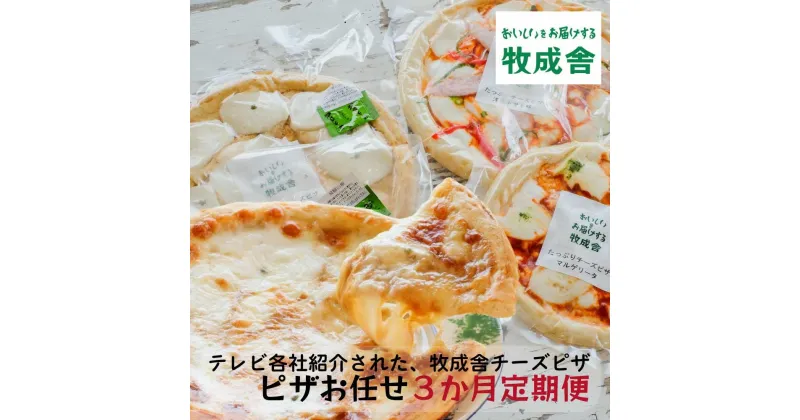 【ふるさと納税】ピザ 定期便 3ヶ月 おまかせ セット 合計 9枚以上 ( マルゲリータ 和風山椒味 カレー 洋風トマト味 季節限定品 ) セレクト 岐阜 高山市 飛騨高山 岐阜県 | 自家製 送料無料 お取り寄せ 人気 お楽しみ おすすめ 冷凍