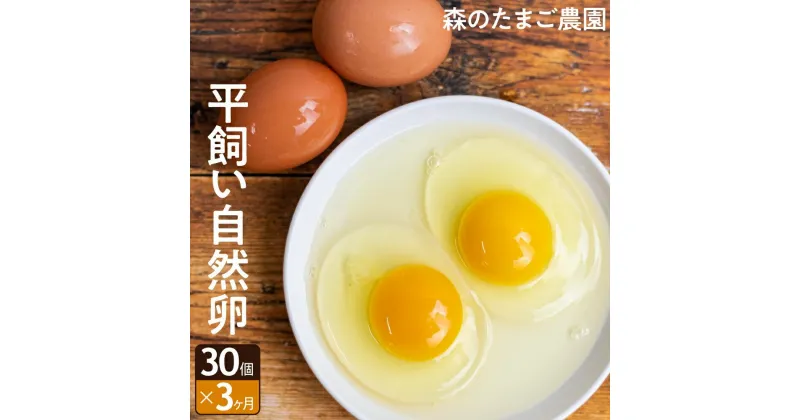 【ふるさと納税】定期便 たまご 卵 3ヶ月 30個セット 3回 自然卵 平飼い お取り寄せ 新鮮 ニワトリ 玉子 人気 おすすめ 岐阜 高山 送料無料 LW102