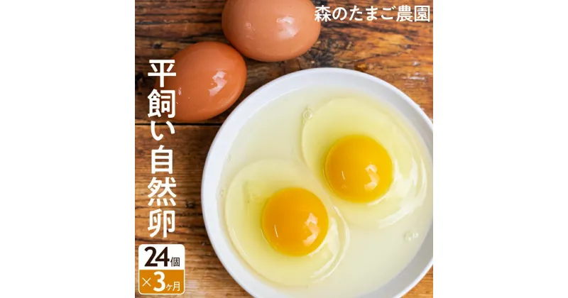 【ふるさと納税】定期便 たまご 卵 3ヶ月 自然卵 24個 セット 平飼い お取り寄せ 新鮮 ニワトリ 玉子 人気 おすすめ 岐阜 高山 送料無料 LW100