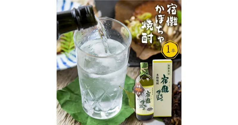 【ふるさと納税】【数量限定】宿儺かぼちゃ焼酎1本 南瓜焼酎 地酒 酒 珍しい 焼酎 数量限定 TR4282