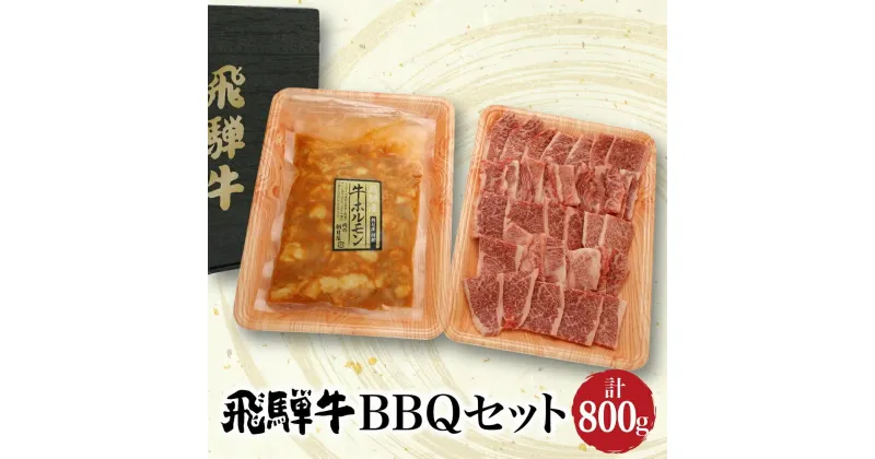 【ふるさと納税】 セット800g 飛騨牛 A5等級 400g ＆ 飛騨産牛味付けホルモン400g ホルモン バラ肉 焼肉 和牛 ブランド牛 朝日屋 TR4204