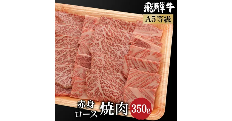 【ふるさと納税】飛騨牛 2種食べ比べ 肩ロース / もも肉 350g 焼肉 5等級 霜降りミックス 焼肉 和牛 ブランド牛 朝日屋 TR4205