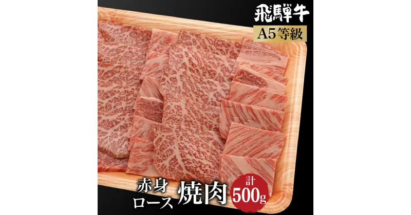 【ふるさと納税】飛騨牛 2種食べ比べ 肩ロース / もも肉 500g 焼肉 霜降り A5等級 ブランド牛 和牛 朝日屋 TR4215