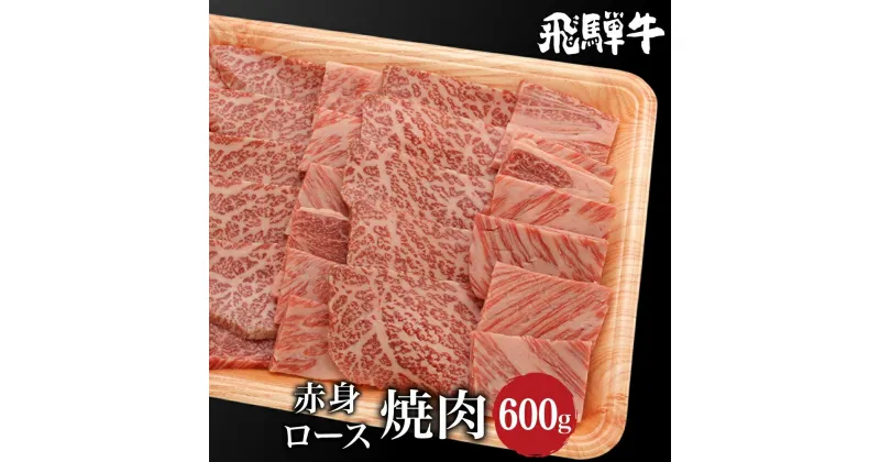 【ふるさと納税】飛騨牛ロース、もも肉焼肉600g（300g×2） A5等級 ブランド牛 和牛 赤身 霜降り 朝日屋 TR4217