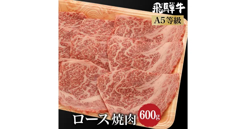 【ふるさと納税】飛騨牛ロース焼肉600g（300g×2） A5等級 ブランド牛 和牛 朝日屋 TR4218