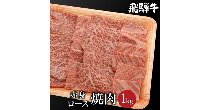 【ふるさと納税】飛騨牛 ロース もも肉 食べ比べ 焼肉 1kg（500g×2） A5等級 霜降り 赤身 飛騨高山 肉 牛 ブランド牛 和牛 朝日屋 TR4220