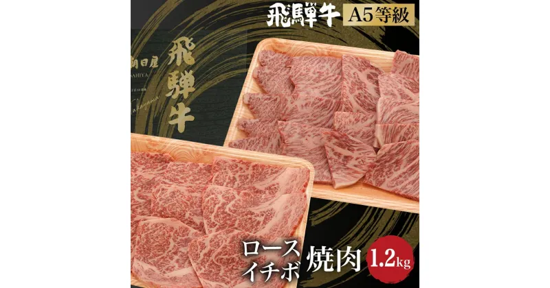 【ふるさと納税】飛騨牛 ロース イチボ 焼肉 1.2kg（600g×2） A5等級 希少部位 ブランド牛 和牛 霜降り 朝日屋 TR4221