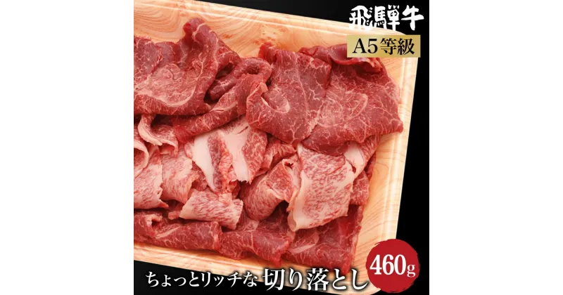 【ふるさと納税】A5等級 飛騨牛 ちょっとリッチな 切り落とし 460g( 飛騨牛もも / 肩肉 ) 飛騨高山 肉の朝日屋 ブランド牛 和牛 牛丼 すき焼き TR4222