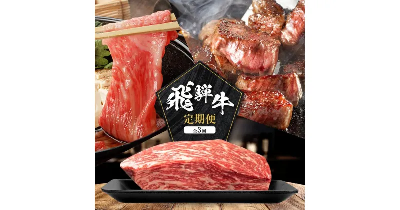 【ふるさと納税】飛騨牛 定期便 全3回 900g ( 300g × 3ヶ月 ) 牛肉 (ブロック / 切り落とし / サイコロステーキ ) | 肉 食べ比べ 岐阜 高山市 飛騨高山 岐阜県 人気 お楽しみ おすすめ ZZ014