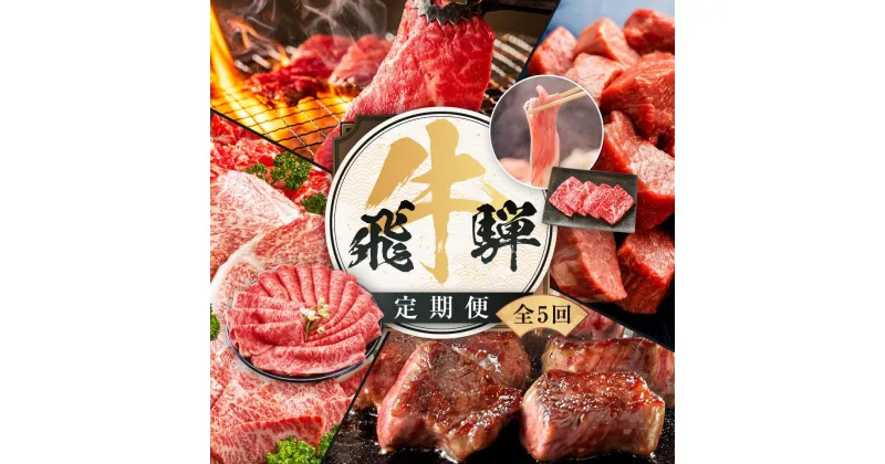 【ふるさと納税】飛騨牛 定期便 全5回 約 2.2kg ( 300g 以上 × 5ヶ月 ) 牛肉 (すき焼き / ステーキ / しゃぶしゃぶ / 焼肉 ) | 肉 食べ比べ A5 岐阜 高山市 飛騨高山 岐阜県 人気 お楽しみ おすすめ ZZ015