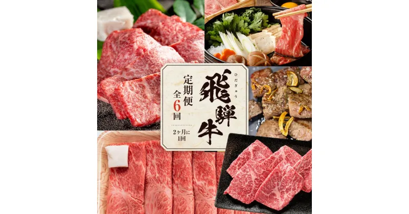 【ふるさと納税】【飛騨牛 定期便】＜全6回＞2ヶ月に1回お届け 牛肉（ステーキ / 焼肉 / しゃぶしゃぶ / すき焼き） | 肉 食べ比べ 霜降り ロース もも 岐阜 高山市 飛騨高山 岐阜県 人気 お楽しみ おすすめ ZZ016