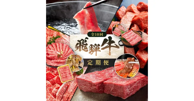 【ふるさと納税】飛騨牛 定期便 全10回 牛肉 ( ステーキ / 焼肉 / しゃぶしゃぶ / すき焼き ) | 肉 食べ比べ A5 霜降り ロース もも サーロイン 岐阜 高山市 飛騨高山 岐阜県 人気 お楽しみ おすすめ ZZ017