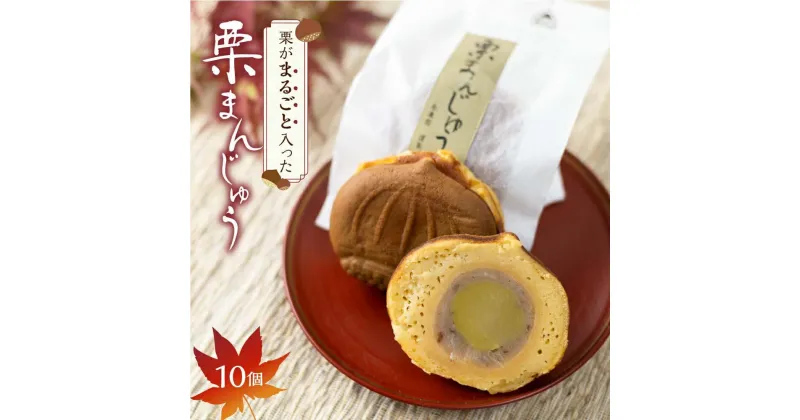 【ふるさと納税】栗まんじゅう 10個 おかし お菓子 くり 饅頭 まんじゅう おやつ お茶請け 冷凍 短冊熨斗のみ ギフト プレゼント バレンタイン ホワイトデー 母の日 飛騨高山 金亀館 TR4448