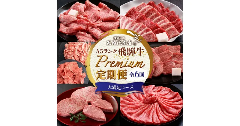 【ふるさと納税】天狗総本店 A5飛騨牛 定期便 全6回 約3.5kg ( 400g 以上 × 6ヶ月 ) ( 焼肉 すき焼き しゃぶしゃぶ ステーキ ) | 牛肉 食べ比べ A5 岐阜 高山市 飛騨高山 岐阜県 人気 お楽しみ おすすめ TR4462