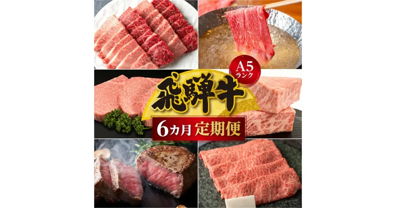 【ふるさと納税】【定期便6ヶ月】 A5ランク肉 飛騨牛 定期便 約2.6kg(360g以上×6ヶ月) 牛肉 ( 焼肉 すき焼き しゃぶしゃぶ ステーキ 肩ロース ヒレ サーロイン もも バラ ) | 食べ比べ A5 人気 お楽しみ おすすめ 岐阜県 高山市 飛騨高山 ながせ食品 FH101