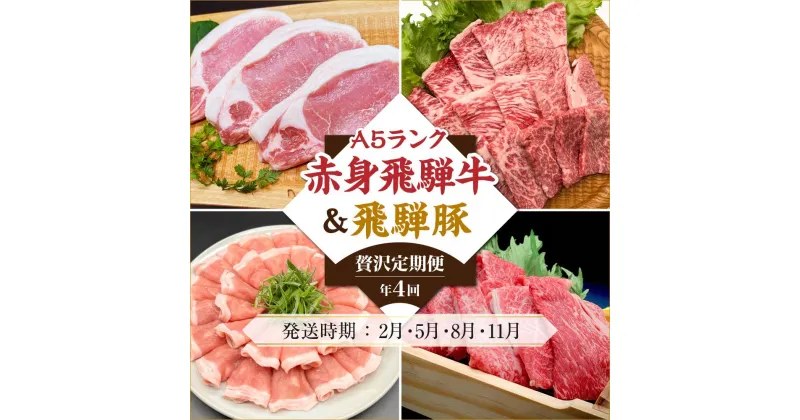 【ふるさと納税】肉 飛騨牛 飛騨豚 定期便 約 1.7kg ( 400g 以上 × 4ヶ月 ) 牛肉 ( すき焼き 焼肉 しゃぶしゃぶ ) | とんかつ 食べ比べ A5 岐阜 高山市 飛騨高山 岐阜県 人気 お楽しみ おすすめ