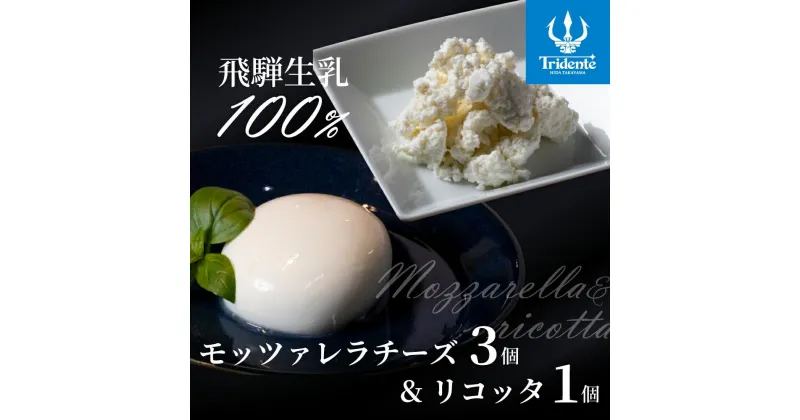 【ふるさと納税】モッツァレラ3個（1個125g） & リコッタ 1個（100g）セット チーズ モッツァレラ リコッタチーズ 冷蔵 個包装 カプレーゼ パスタ ピザ 前菜 サラダ 新鮮 生乳 国産 低温殺菌 乳製品 無添加 飛騨高山 トリデンテ LF004