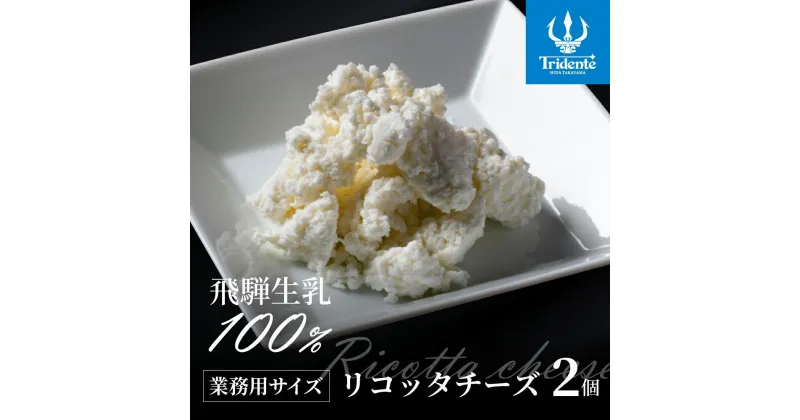 【ふるさと納税】リコッタチーズ 250g 2個セット リコッタ 冷蔵 サラダ お菓子 前菜 サラダ 新鮮 生乳 国産 低温殺菌 乳製品 無添加 大容量 業務用サイズ 飛騨高山 トリデンテ リアライン LF006