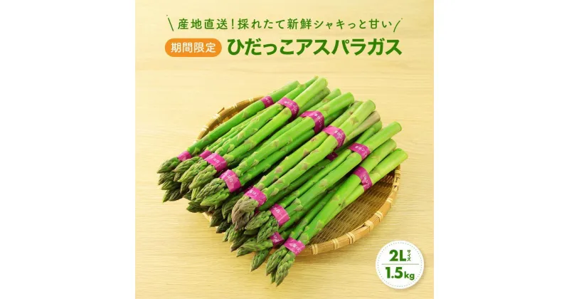 【ふるさと納税】【2025年発送 先行予約】2Lサイズ以上 ひだっこアスパラガス 1.5kg アスパラ 野菜 やさい 産地直送 春 夏 採れたて グリーンアスパラガス 期間限定 ひだっこの里 CM002VP