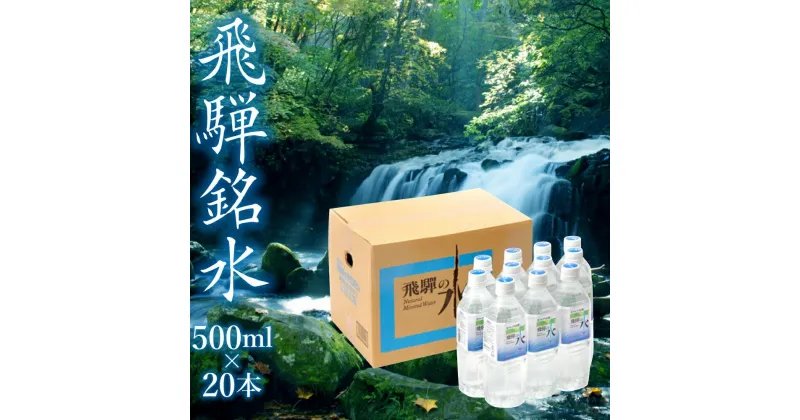 【ふるさと納税】飛騨の水 飛騨銘水500ml×20本（1ケース） 飲料水 お水 軟水 湧き水 国産 ミネラルウォーター 自然の恵み 天然水 500ml 水 ペットボトル 三川屋 TR4557