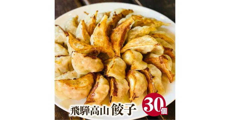 【ふるさと納税】高山餃子 30個入り お試しパック ＜ 生冷凍餃子 ・ 簡易包装 ＞ ぎょうざ ギョーザ 冷凍 冷凍餃子 簡易包装 業務用 惣菜 ニラ 豚肉 大容量 FN003