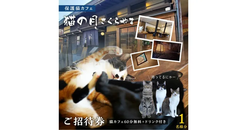 【ふるさと納税】猫の月さくらやまご招待券1名様分（猫カフェ60分無料＋ワンドリンク付き）　ネコカフェ チケット 猫 ねこ ドリンク付き 古民家カフェ 保護猫 猫の月 さくらやま TR4599