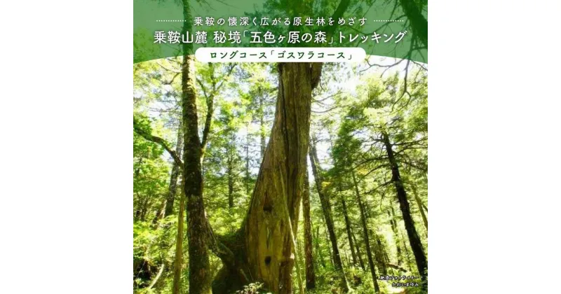 【ふるさと納税】2023・24年度シーズン 乗鞍山麓 秘境「五色ヶ原」トレッキング ロングコース「ゴスワラコース（所要8時間）」2名分 MK003