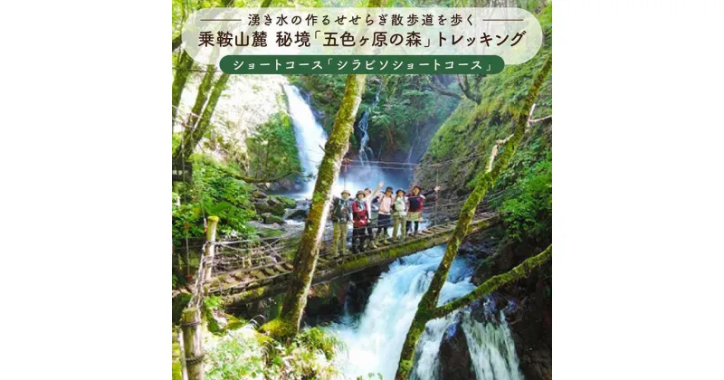 【ふるさと納税】2023・24年度シーズン 乗鞍山麓 秘境「五色ヶ原」トレッキングショートコース「シラビソショートコース（所要4:30）」3名分 MK006