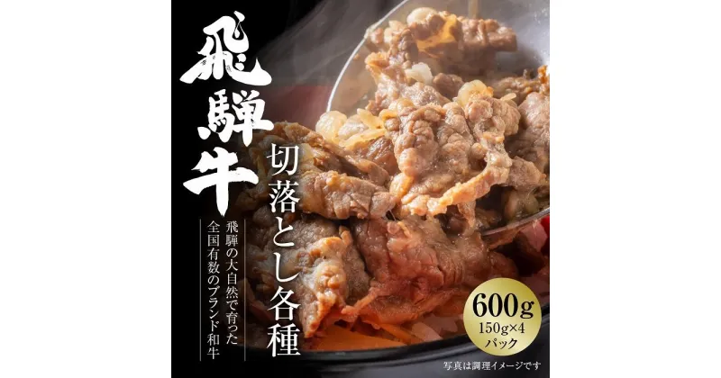 【ふるさと納税】飛騨牛 切落とし 600g（約150g×4パック） 冷凍真空パック | 肉 お肉 すき焼き すきやき しゃぶしゃぶ 黒毛和牛 和牛 個包装 小分け 人気 おすすめ 牛肉 ギフト お取り寄せ 7日以内お届け【飛騨高山ミート MZ001】