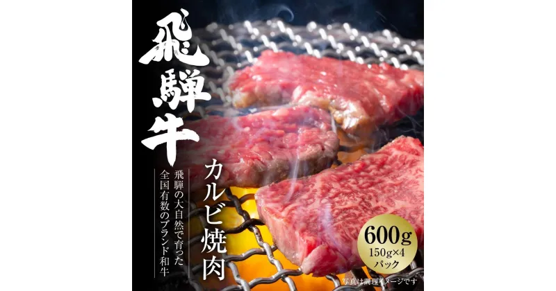 【ふるさと納税】飛騨牛 カルビ焼肉 600g（150g×4パック） 冷凍真空パック | 肉 お肉 焼肉 焼き肉 やきにく 黒毛和牛 和牛 個包装 小分け 人気 おすすめ 牛肉 ギフト お取り寄せ 7日以内お届け【飛騨高山ミートMZ005】