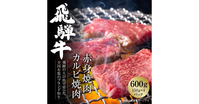 【ふるさと納税】飛騨牛 焼肉 厳選2種盛（赤身・カルビ） 600g（150g×各2パック） 冷凍真空パック | 肉 お肉 焼肉 焼き肉 やきにく 黒毛和牛 和牛 個包装 小分け 人気 おすすめ 牛肉 ギフト お取り寄せ 7日以内お届け【飛騨高山ミートMZ008】