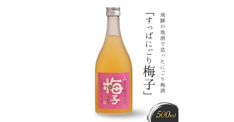 【ふるさと納税】飛騨の地酒で造ったにごり梅酒「すっぱにごり梅子」　有限会社舩坂酒造店　FB002