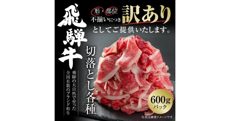 【ふるさと納税】訳あり 飛騨牛 切落とし 600g 冷凍真空パック | 肉 お肉 切り落とし 薄切り すき焼き すきやき 黒毛和牛 和牛 人気 おすすめ 牛肉 ギフト お取り寄せ 7日以内お届け【飛騨高山ミート MZ011】