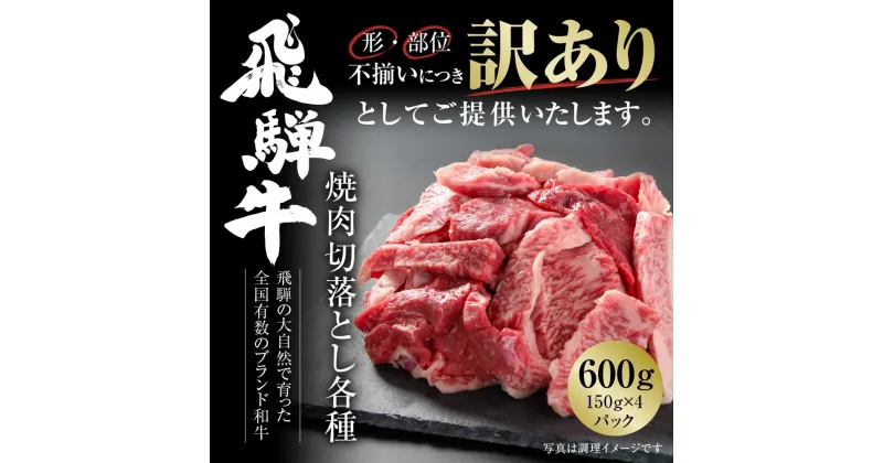 【ふるさと納税】訳あり 飛騨牛 焼肉 切落とし 600g（150g×4パック） 冷凍真空パック | 肉 お肉 焼肉 焼き肉 やきにく 黒毛和牛 和牛 個包装 小分け 人気 おすすめ 牛肉 ギフト お取り寄せ 7日以内お届け【飛騨高山ミート MZ014】