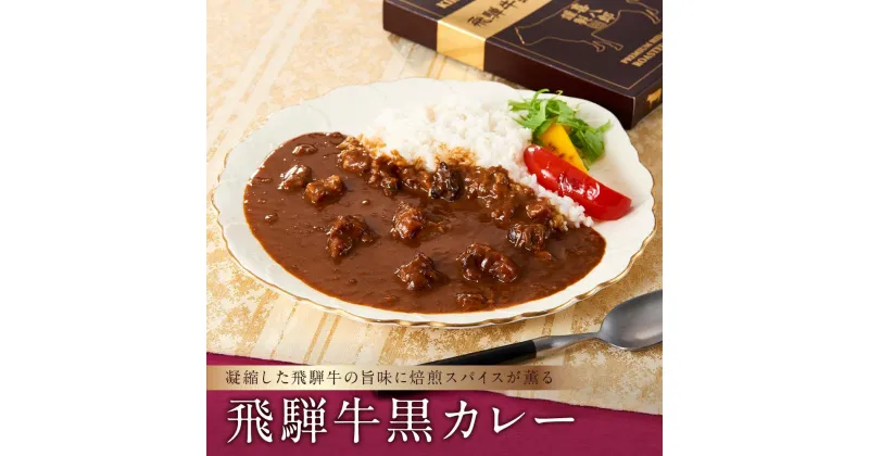 【ふるさと納税】喜八郎謹製・飛騨牛黒カレー ご当地カレー 山一商事 EN001