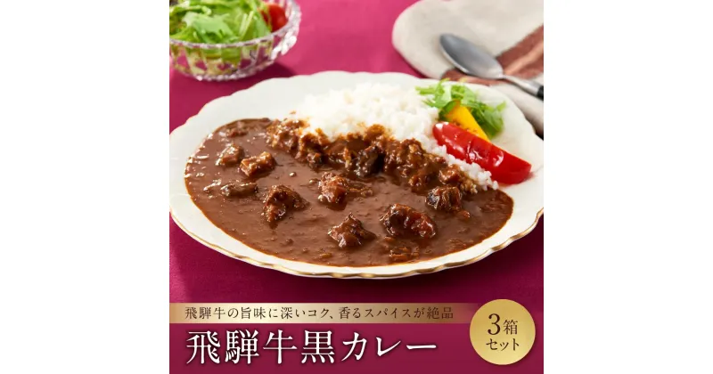 【ふるさと納税】喜八郎謹製・飛騨牛黒カレー3箱セット ご当地カレー 山一商事 EN002