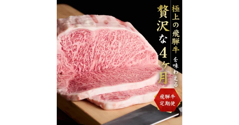 【ふるさと納税】【全4回】「飛騨牛定期便」肉 飛騨牛 定期便 約1.9kg 牛肉 しゃぶしゃぶ 焼肉 すき焼き ステーキ 山武商店 飛騨牛のこもり ZZ002