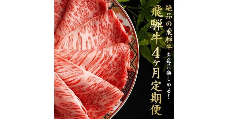 【ふるさと納税】満喫飛騨牛4ヶ月定期便（全4回）牛肉 しゃぶしゃぶ すき焼き ステーキ 切り落とし 飛騨牛のこもり FC104