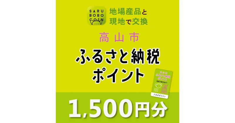 【ふるさと納税】高山市ふるさと納税ポイント 1,500pt【飛騨信用組合 SB001】