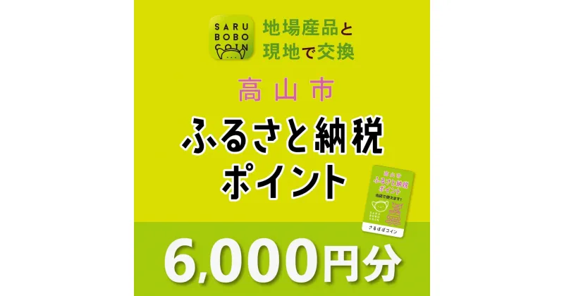 【ふるさと納税】高山市ふるさと納税ポイント 6,000pt【飛騨信用組合 SB003】