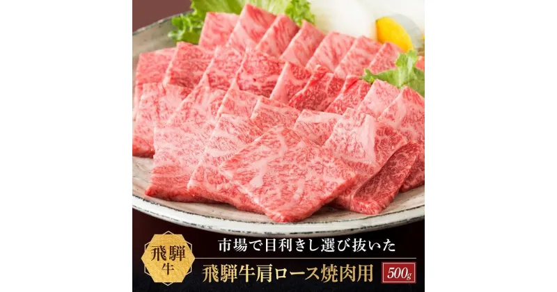 【ふるさと納税】飛騨牛 肩ロース 焼肉用 500g|国産牛 黒毛和牛 和牛 肉 ブランド 飛騨高山 飛騨農協 CP004 | 肉 お肉 にく 食品 飛騨産 人気 おすすめ 送料無料 ギフト