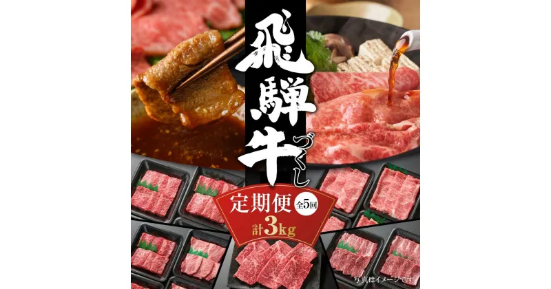 【ふるさと納税】【定期便】飛騨牛 全5回（焼肉・すき焼き・ステーキ）計3kg | 焼肉 ステーキ カルビ 食べ比べ 牛 定期【飛騨高山ミート MZ100】