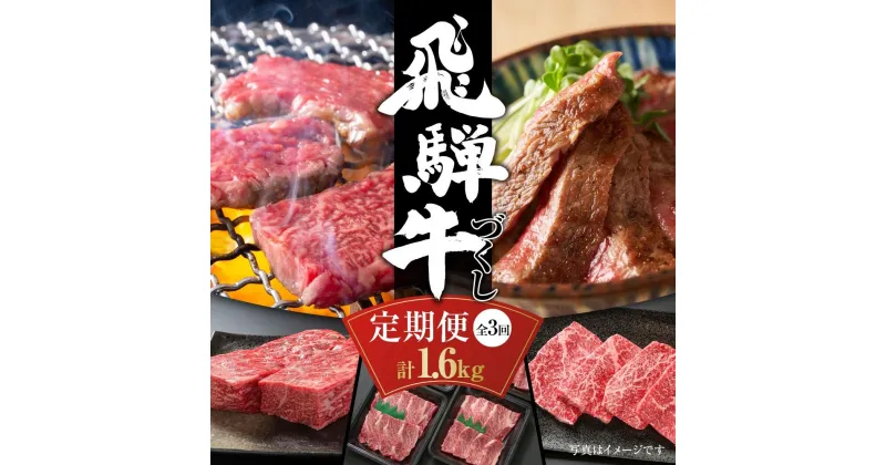 【ふるさと納税】【定期便】飛騨牛（全3回）（ステーキ /焼肉 / ブロック[塊] ) 計1.6kg 全3回 | 焼肉 ステーキ カルビ 牛肉 定期 【飛騨高山ミート MZ101】