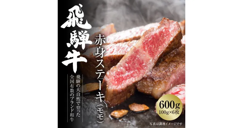 【ふるさと納税】飛騨牛 赤身ステーキ 600g（100g×6枚） 冷凍真空パック | 肉 お肉 ステーキ 黒毛和牛 和牛 人気 おすすめ 牛肉 ギフト お取り寄せ 7日以内お届け【飛騨高山ミート MZ018】