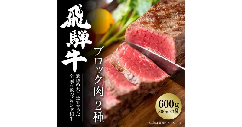 【ふるさと納税】飛騨牛 ブロック肉[塊]2種 600g（霜降り/赤身 300g×2種） 冷凍真空パック | 肉 お肉 ローストビーフ 煮込み 焼肉 焼き肉 やきにく BBQ 黒毛和牛 和牛 食べ比べ 人気 おすすめ 牛肉 ギフト お取り寄せ 7日以内お届け【飛騨高山ミート MZ023】